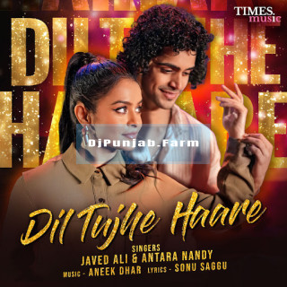 Dil Tujhe Haare mp3 download