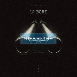 12 Bore mp3 download